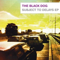 Subject-To-Delays[1]